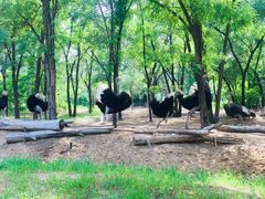 -北京野生动物园