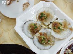 葱油扇贝-海岛渔村大酒店(云霄路店)