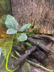 -酷嗒动物文化乐园(cutezoo西溪乐天城店)