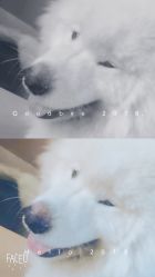 点击看大图 -莱风影画Studio