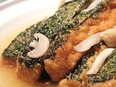 小黄鱼烧豆腐-漢舍中国菜馆(889广场店)
