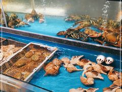 水产区-神洲四海大酒楼(王府井澳门中心店)