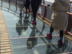 -少华山国家森林公园