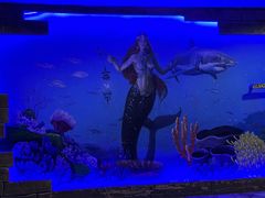 -太平洋海底世界