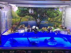 -TOYSRUS玩具反斗城(天津远洋乐堤港店)