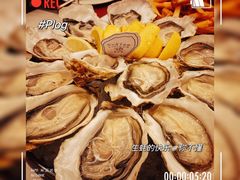 -斯普汇生蚝牛排馆(中骏世界城店)