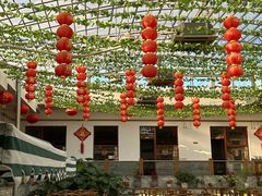 -燕北云山·农家菜·灶台鱼(密云溪翁庄店)