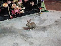 -正佳雨林生态植物园
