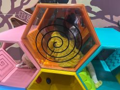 -卡通尼·Safari非洲探索乐园·生日会(金桥国际商业广场店)