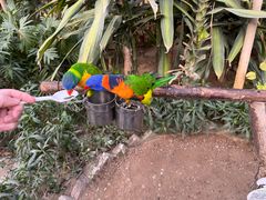 -南宫五洲植物乐园