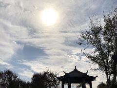 -武汉紫薇都市田园