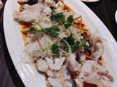 龍躉肉-新海利海鲜城·41年珠海老字号(夏湾店)