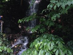 iphone_upload_pic-九溪烟树