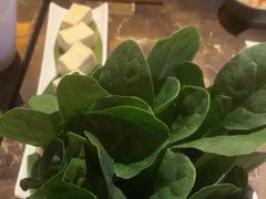 -同仁四季椰子鸡(罗湖国贸店)