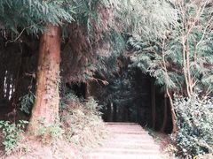 -山王坪喀斯特国家生态公园