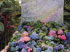 景点-沈阳植物园