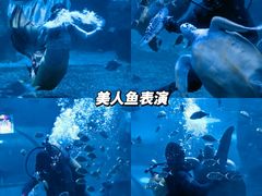 -左海海底世界