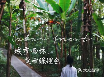 成都｜假装在东南亚·人少免门票的宝藏公园！
