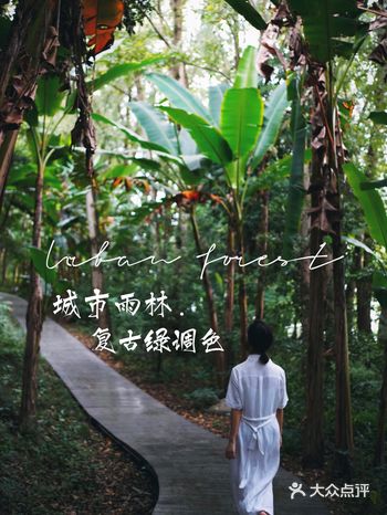 成都｜假装在东南亚·人少免门票的宝藏公园！