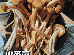 -探窝·竹笙椰子鸡(杨箕店)
