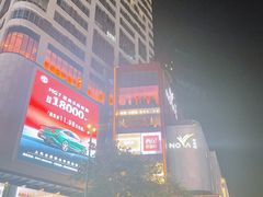 -岭南站NOVA