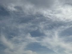 -武清南湖绿博园