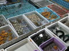 水产区-霞涌市场海鲜摆卖区