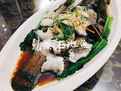 清蒸石斑鱼-古姑姑·品质海南菜私房餐厅(龙昆南欧式洋房别墅店)
