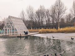 -稻香湖景欢乐岛温泉城堡