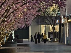 -中粮·祥云小镇