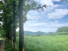 -良渚古城遗址公园