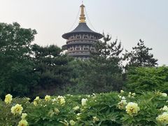 -隋唐洛阳城明堂天堂景区