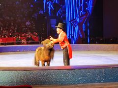 -珠海横琴长隆《卡卡虎奇遇记》