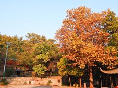 -浮来山风景区