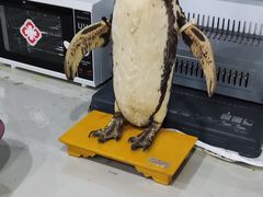 -太平洋海底世界