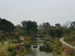 -东莞植物园