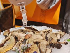 见手青-芸山季·云南山珍菌火锅(人民广场来福士店)