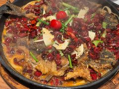 -老板恋上鱼(恒隆广场店)