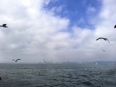 -刘公岛景区