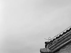 -白水寺森林公园