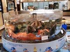 -高佳庄·海鲜酒楼(东港店)
