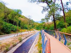 -白水寺森林公园