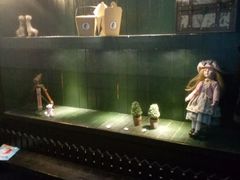 -猫的魔法密林(衣裳街店)