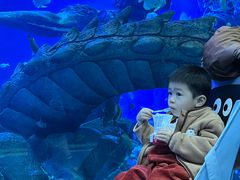 -哈尔滨波塞冬海底世界