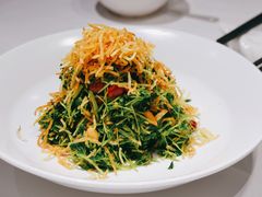 巧拌豆苗-四季民福烤鸭店(王府井灯市口店)
