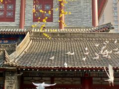 -西安大兴善寺