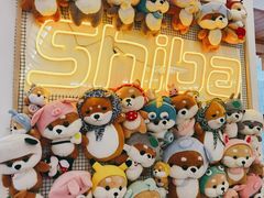 -豆柴町-柴犬主题狗咖(红鼎国际C座店)