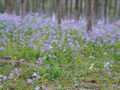 -江南大学(蠡湖校区)