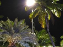 -Green Tree Rest. & Pub