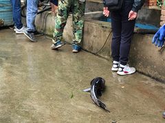 -姥家大锅台水库渔家